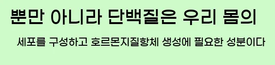  뿐만 아니라 단백질은 우리 몸의 세포를 구성하고 호르몬,지질,항체 생성에 필요한 성분이다.
