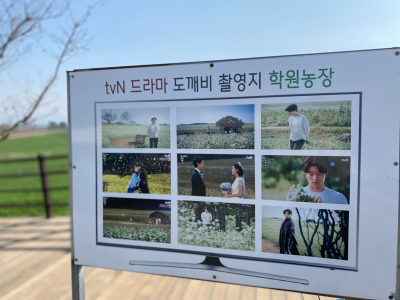 도깨비 촬영지를 알리는 표지판