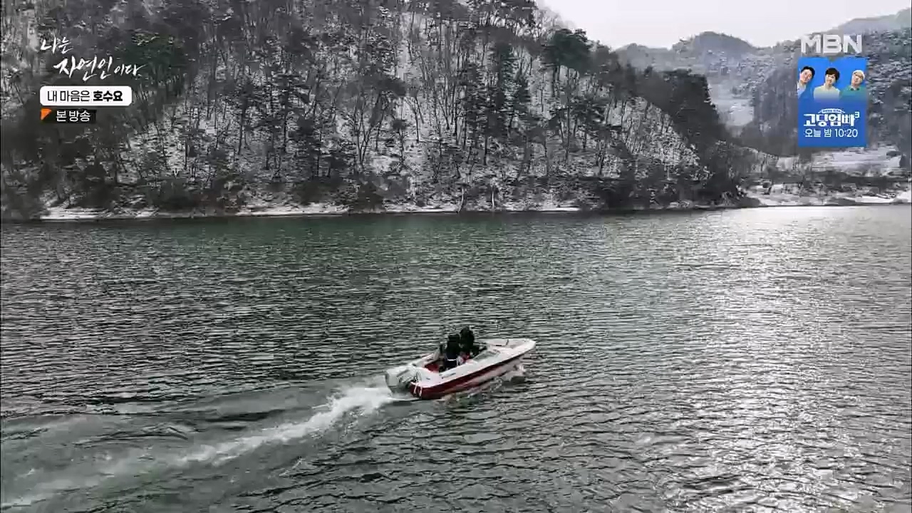 나는 자연인이다.E540.230209p.H264-F1RST.mp4_20230209_203731.038.jpg