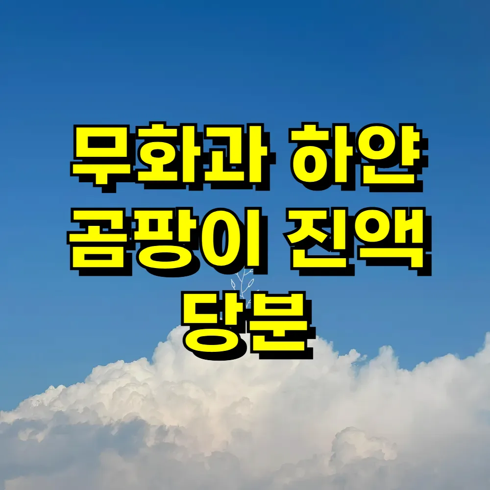 무화과 하얀 곰팡이 진액 당분