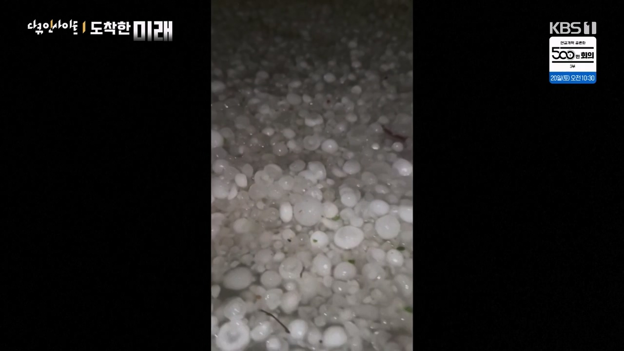 다큐 인사이트.E185.240419p-NEXT.mp4_20240420_161121.216.jpg