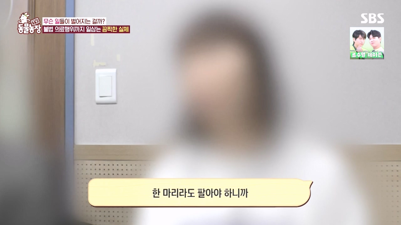 TV 동물농장.E1142.231023p-NEXT.mp4_20231022_174009.058.jpg