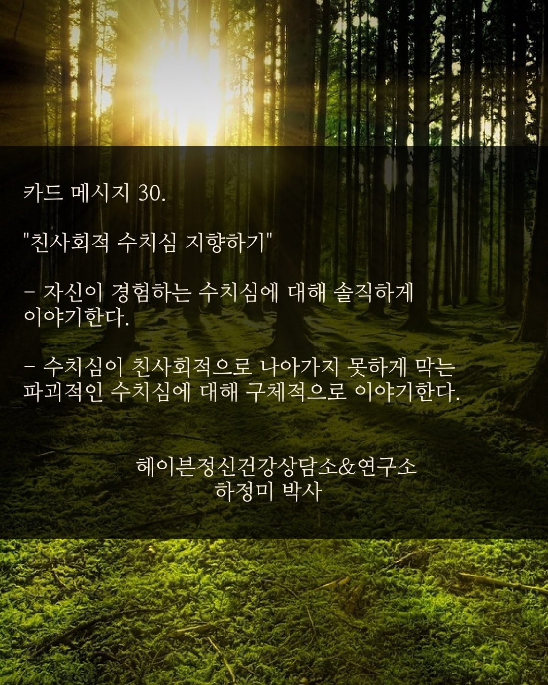 헤이븐 이미지