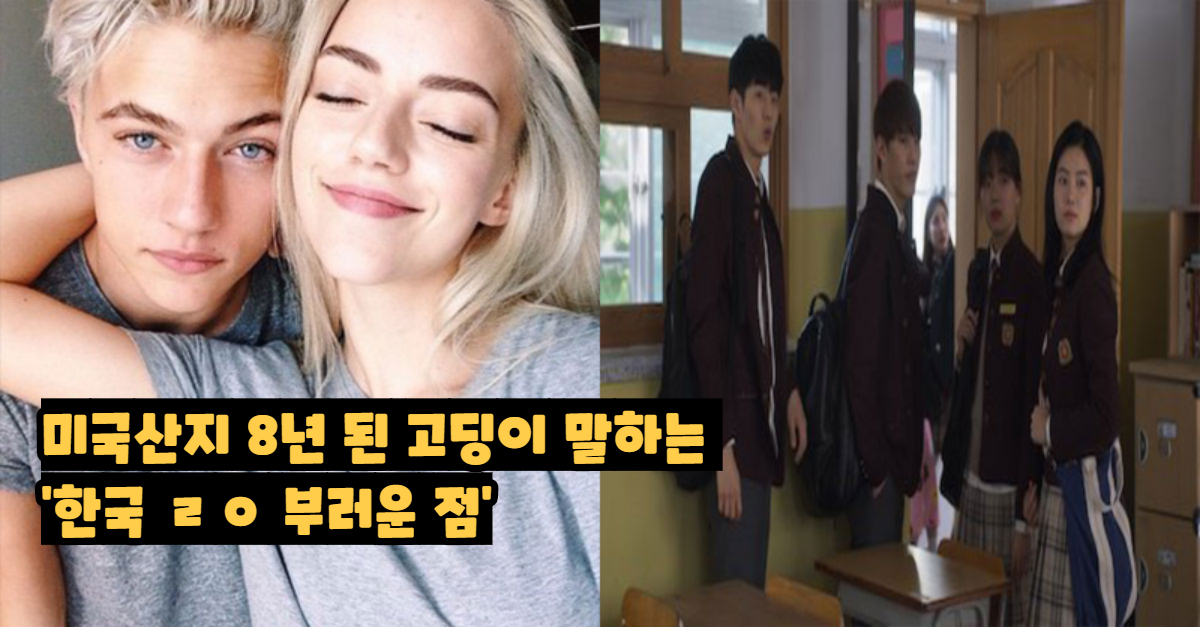  미국산지 8년 된 고딩이 말하는 '한국 ㄹㅇ 부러운 점'