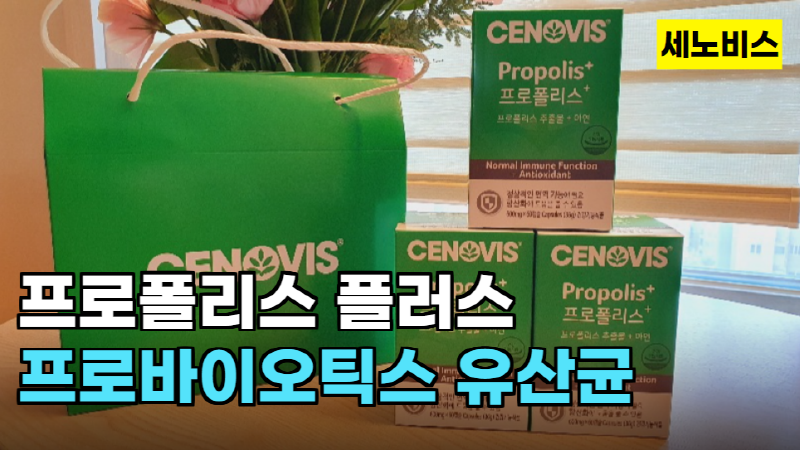 유산균효과