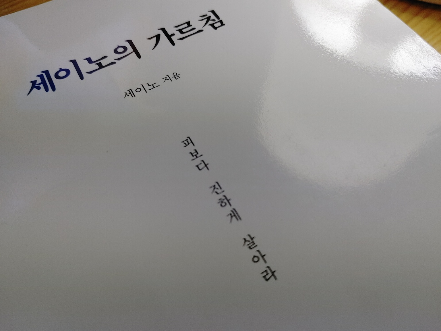 세이노의 가르침(피보다 진하게 살아라)