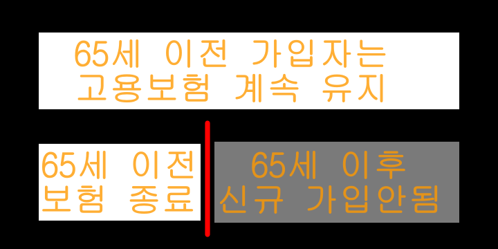 고용보험-65세