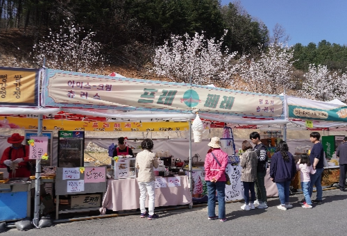 가평 벚꽃명소 에덴벚꽃길 벚꽃축제