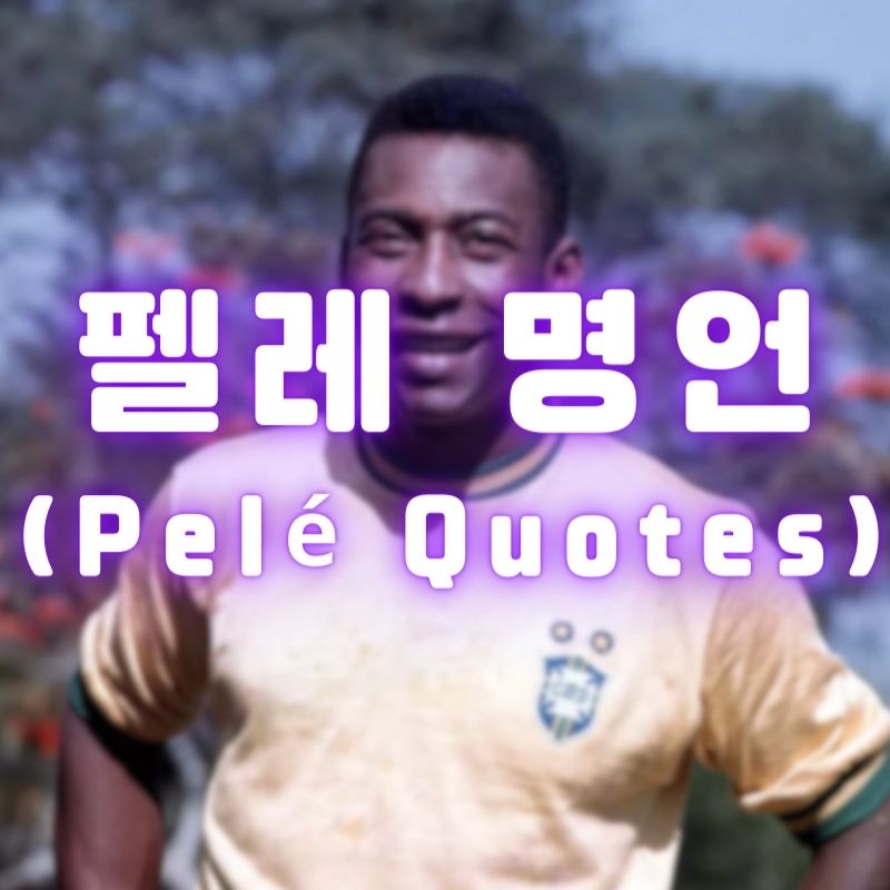 펠레 명언 (Pelé Quotes)