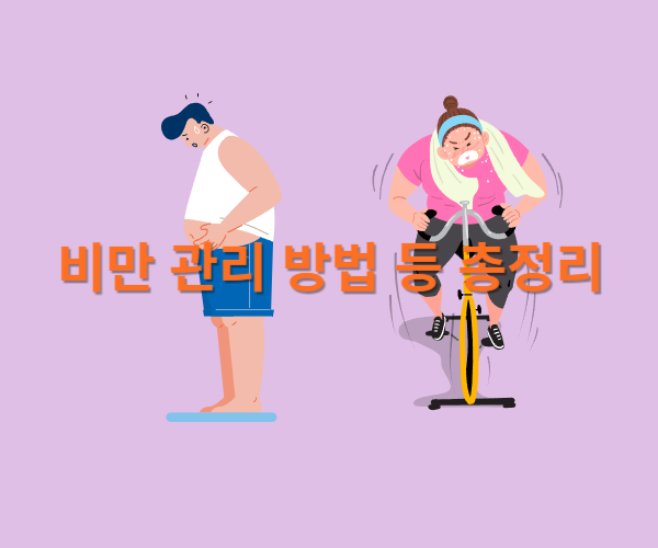 비만관리 방법 등 총정리