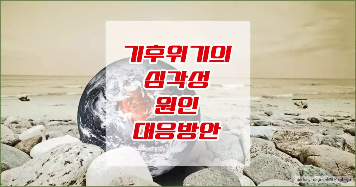 기후위기의 심각성과 원인, 대응방안