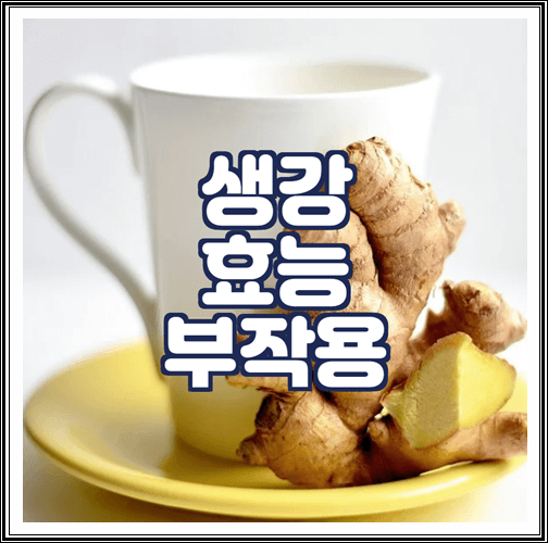  생강 효능과 부작용 정리