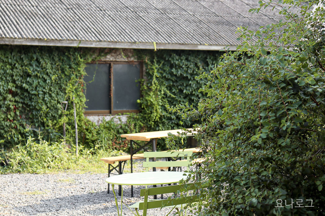 제주 카페 제주 카페 추천 제주 여행 제주도 여행 애월 카페 애월 카페 추천 예쁜 애월 카페 제주 예쁜 카페 나홀로 제주 제주 나홀로 제주여행 제주 나홀로 여행 제주 예쁜 카페 추천 애월 윈드스톤 애월 윈드스톤 제주 윈드스톤