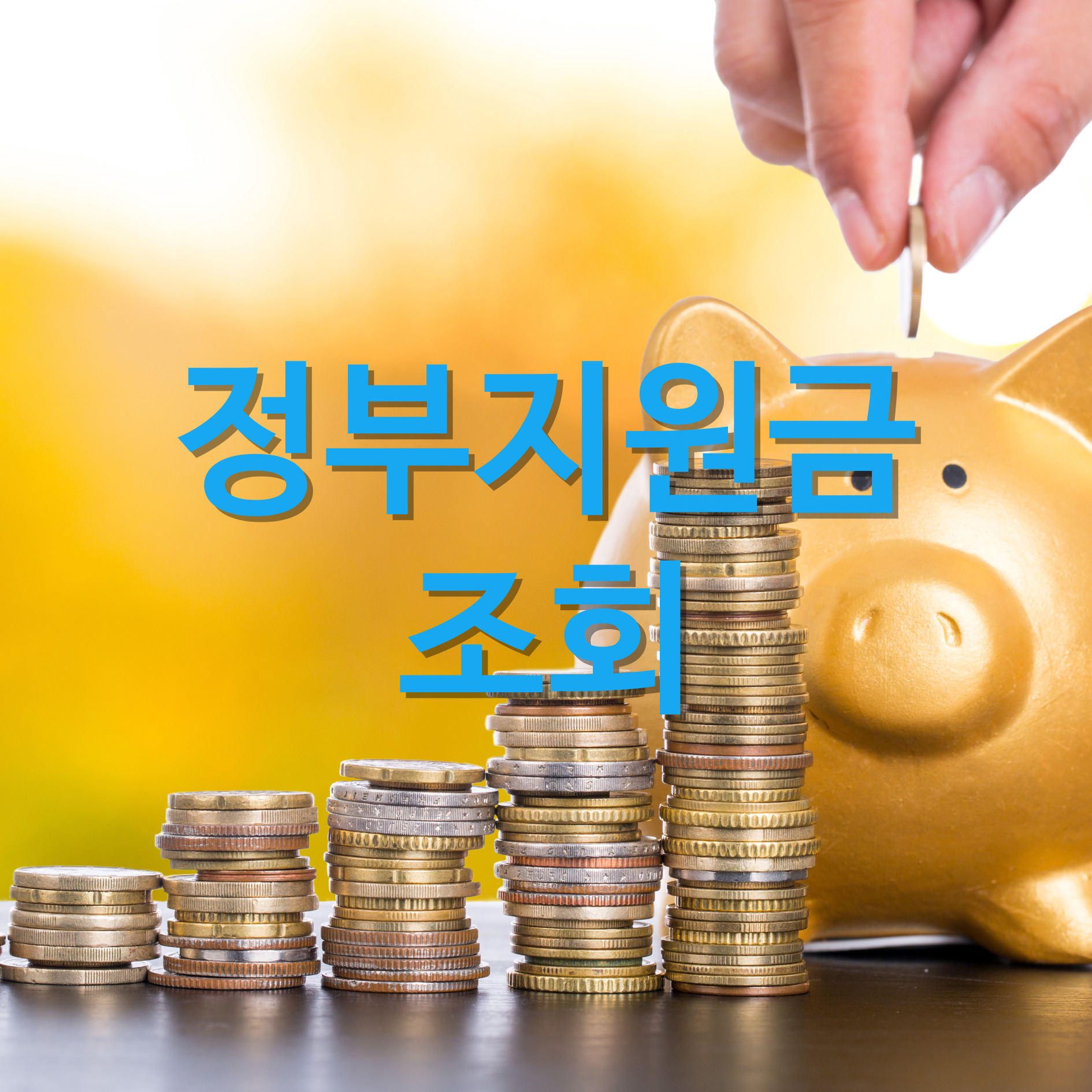 정부지원금 조회