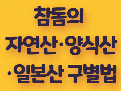  참돔의 자연산·양식산·일본산 구별법