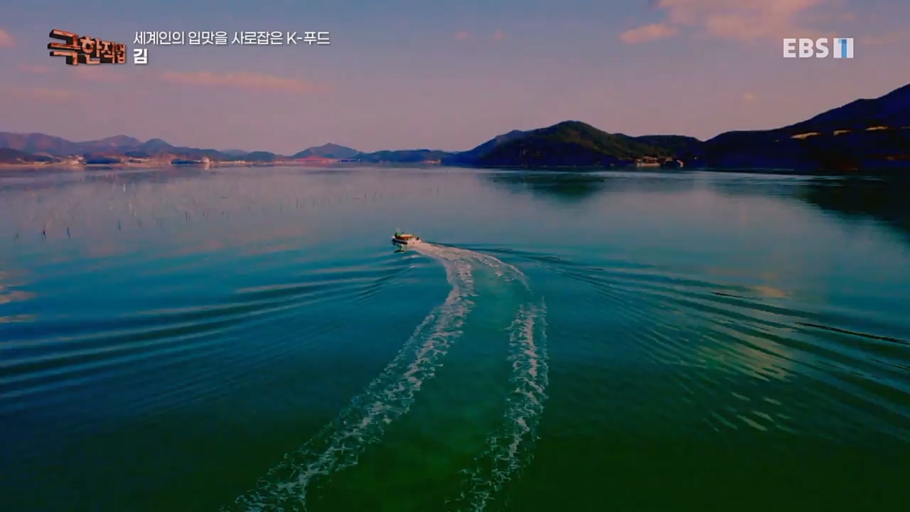 TV - 교육의 중심 EBS세계인의 입맛을 사로잡은 K-푸드.mp4_20230211_183514.868.jpg