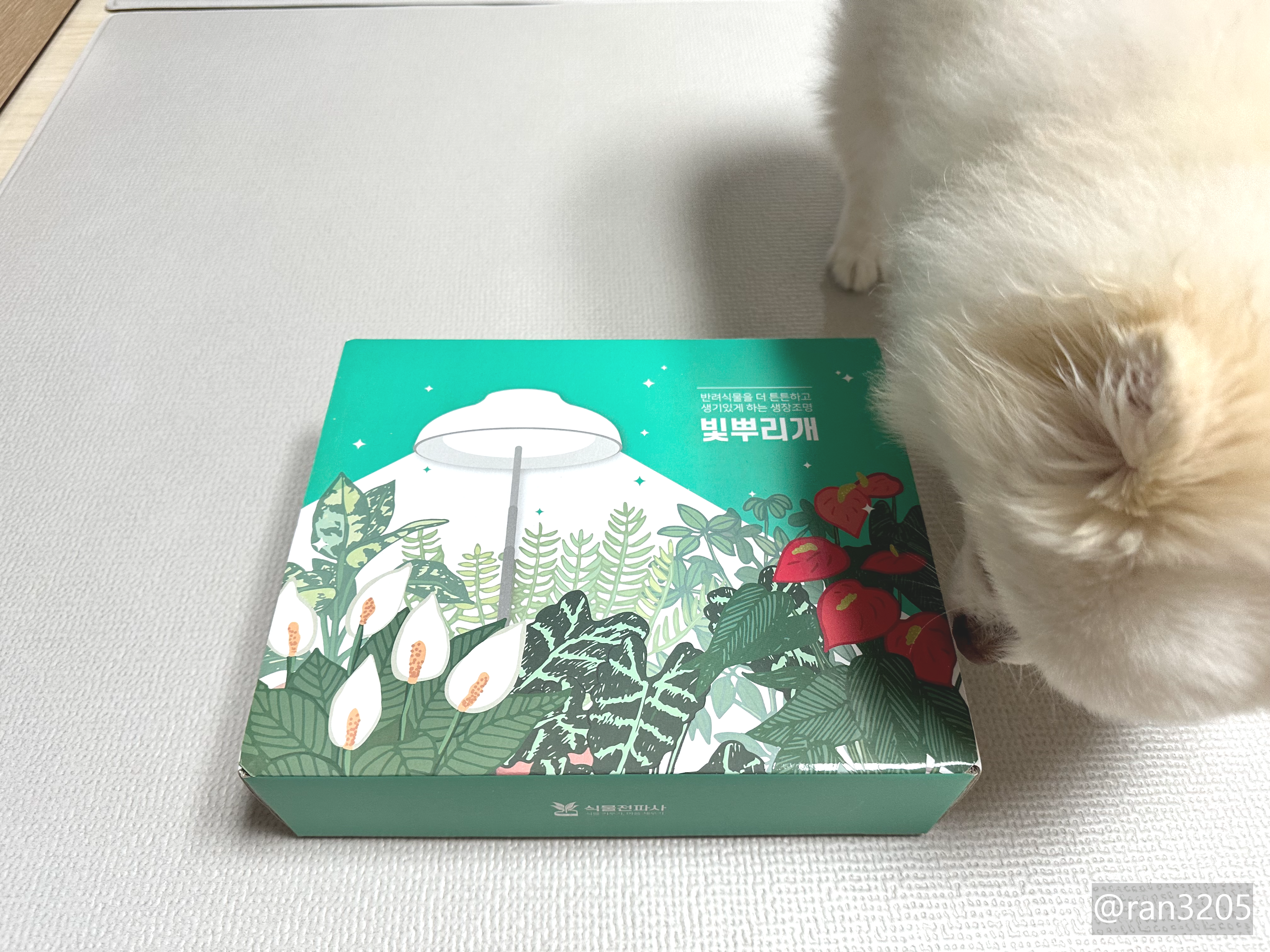 빛뿌리개 박스 외관