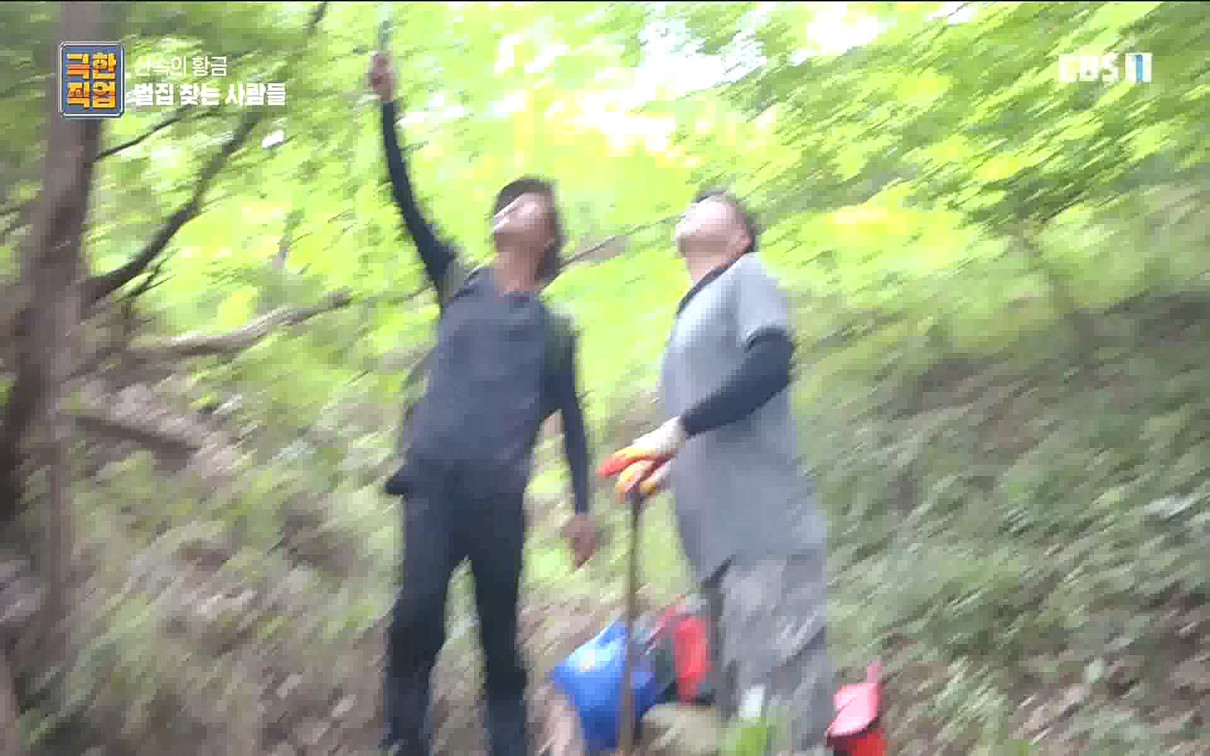 벌집 찾는 사람들.mp4_20221006_212352.472.jpg