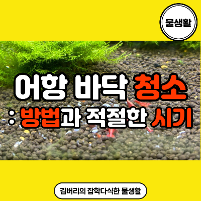 어헝 바닥 청소