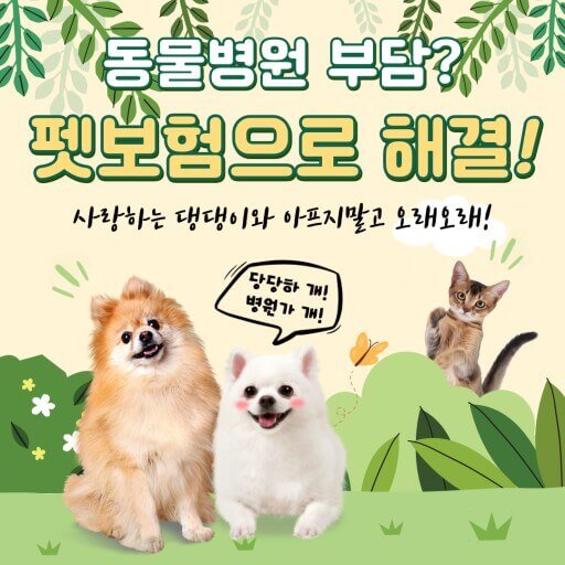  반려견 펫 보험의 명과 암 그리고 문제 개선과 가입 시 유의점 알아보기