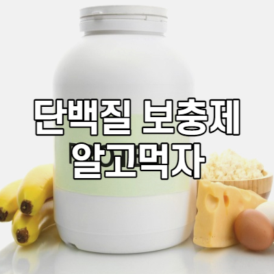 단백질 보충제