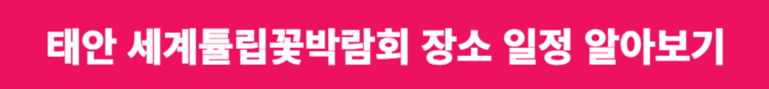 2024 충남 태안 세계튤립꽃박람회 장소 일정 알아보기