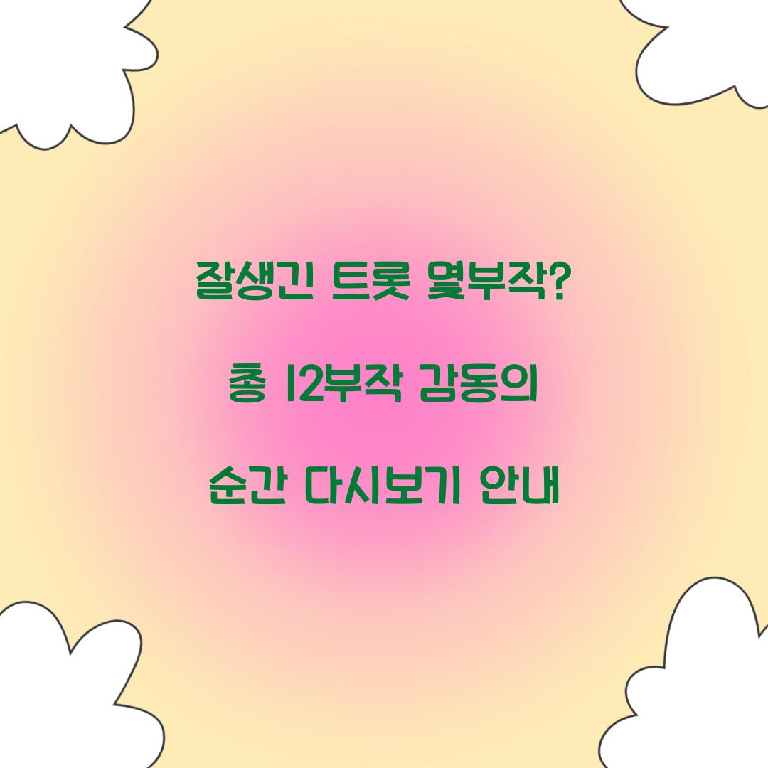 잘생긴 트롯 몇부작