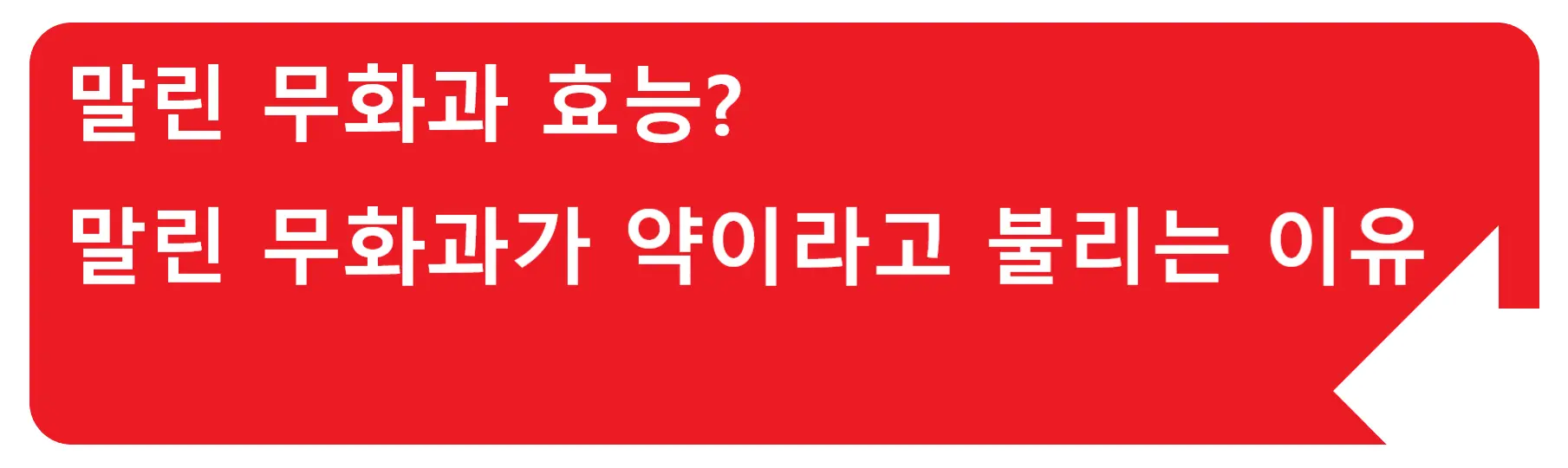 이노시톨 효능? 건강보조제로 인기인 이노시톨, 부작용도 숙지하는게 좋아요!