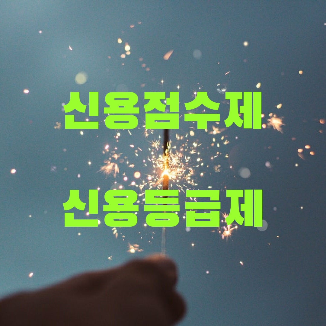  c개인신용점수제 2021년 시행
