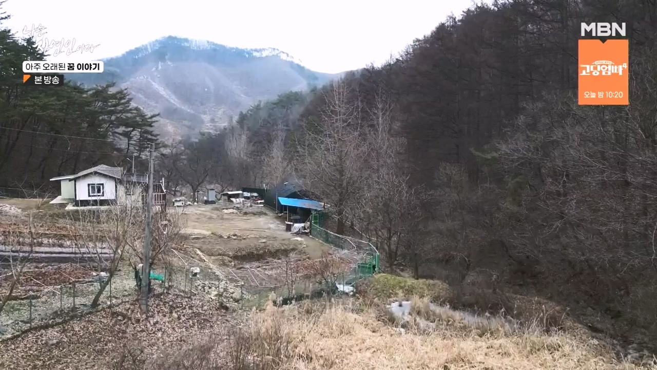 나는 자연인이다.E594.240222p-NEXT.mp4_20240222_195328.333.jpg