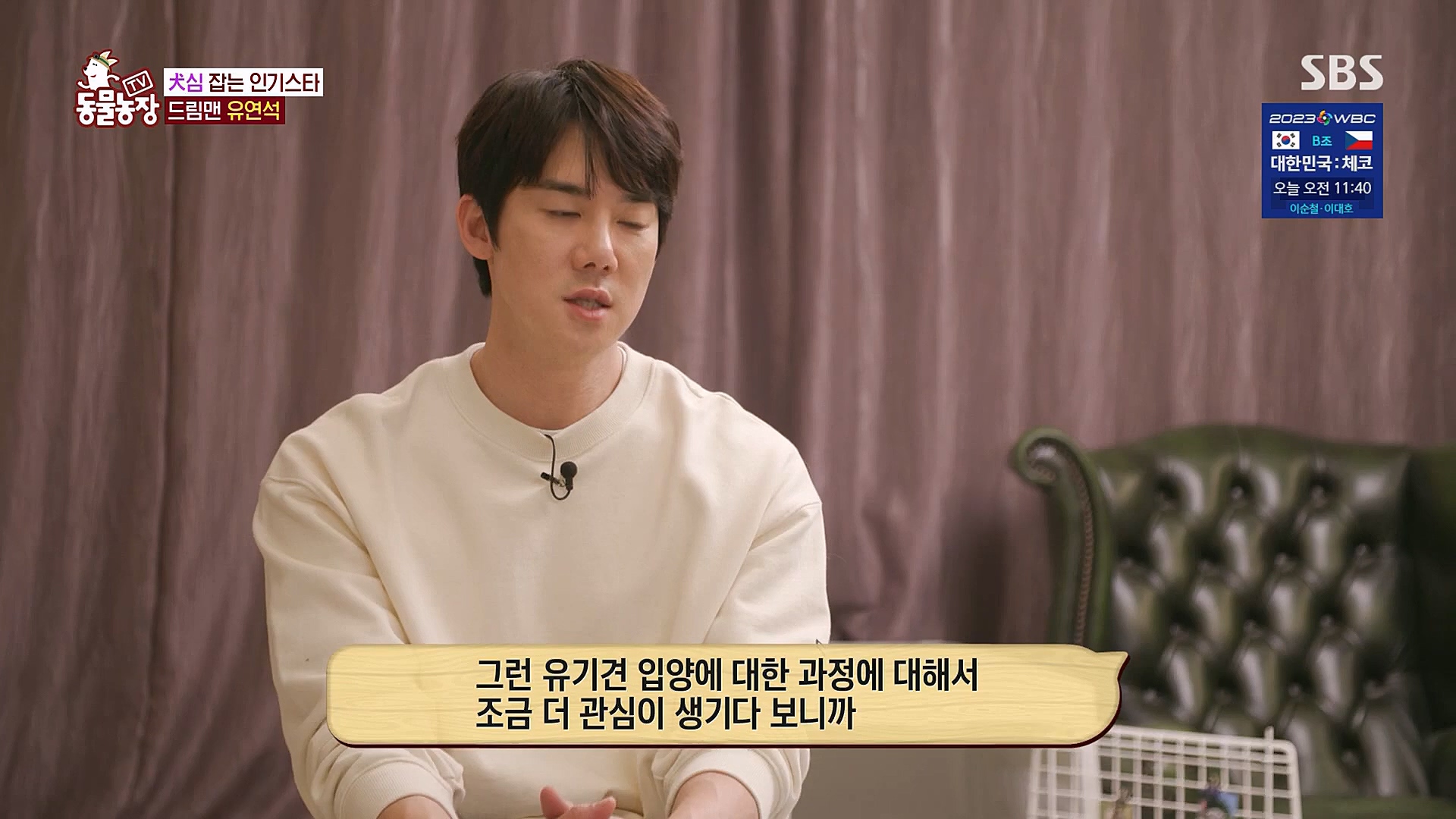 TV 동물농장.E1111.230312p.H264-F1RST.mp4_20230312_175954.226.jpg