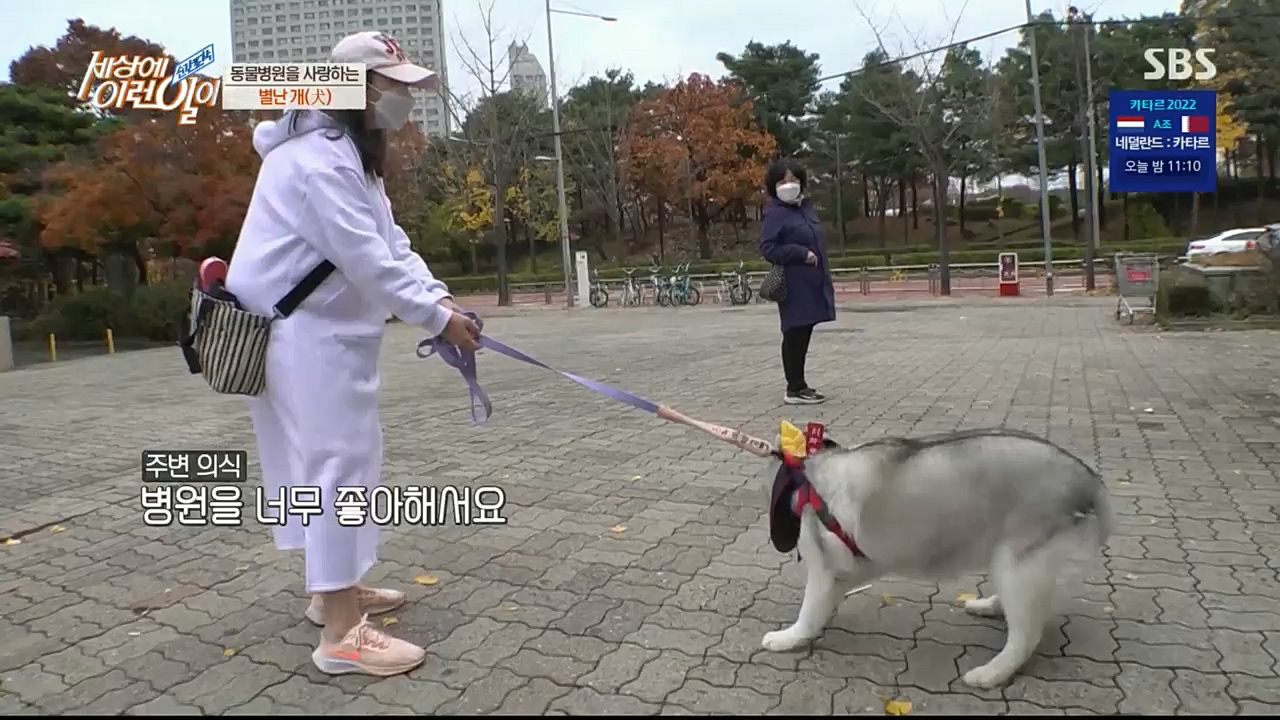 순간포착 세상에 이런일이.E1207.221130p.H264-F1RST.mp4_20221130_195659.572.jpg