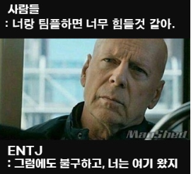 ENTJ 유형 특징 연애궁합 총정리(+장점 단점 직업 추천 궁합 팩폭 매력 MBTI유형)