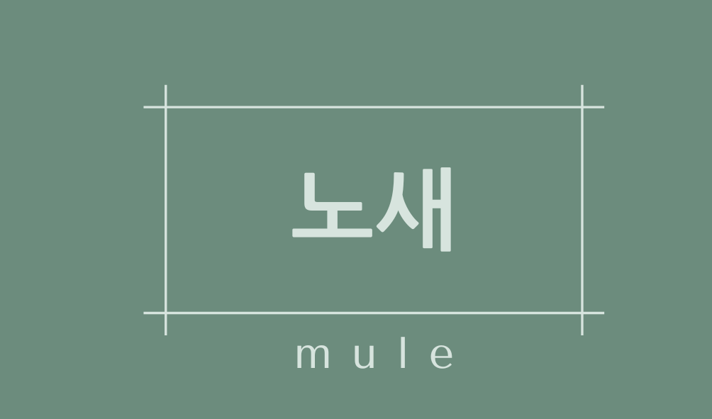 노새(mule)