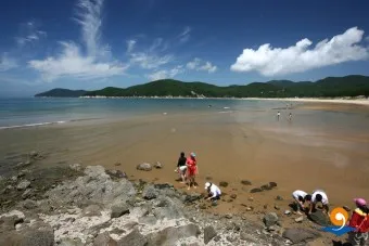 덕적도 배시간표 차량승선 비용_12