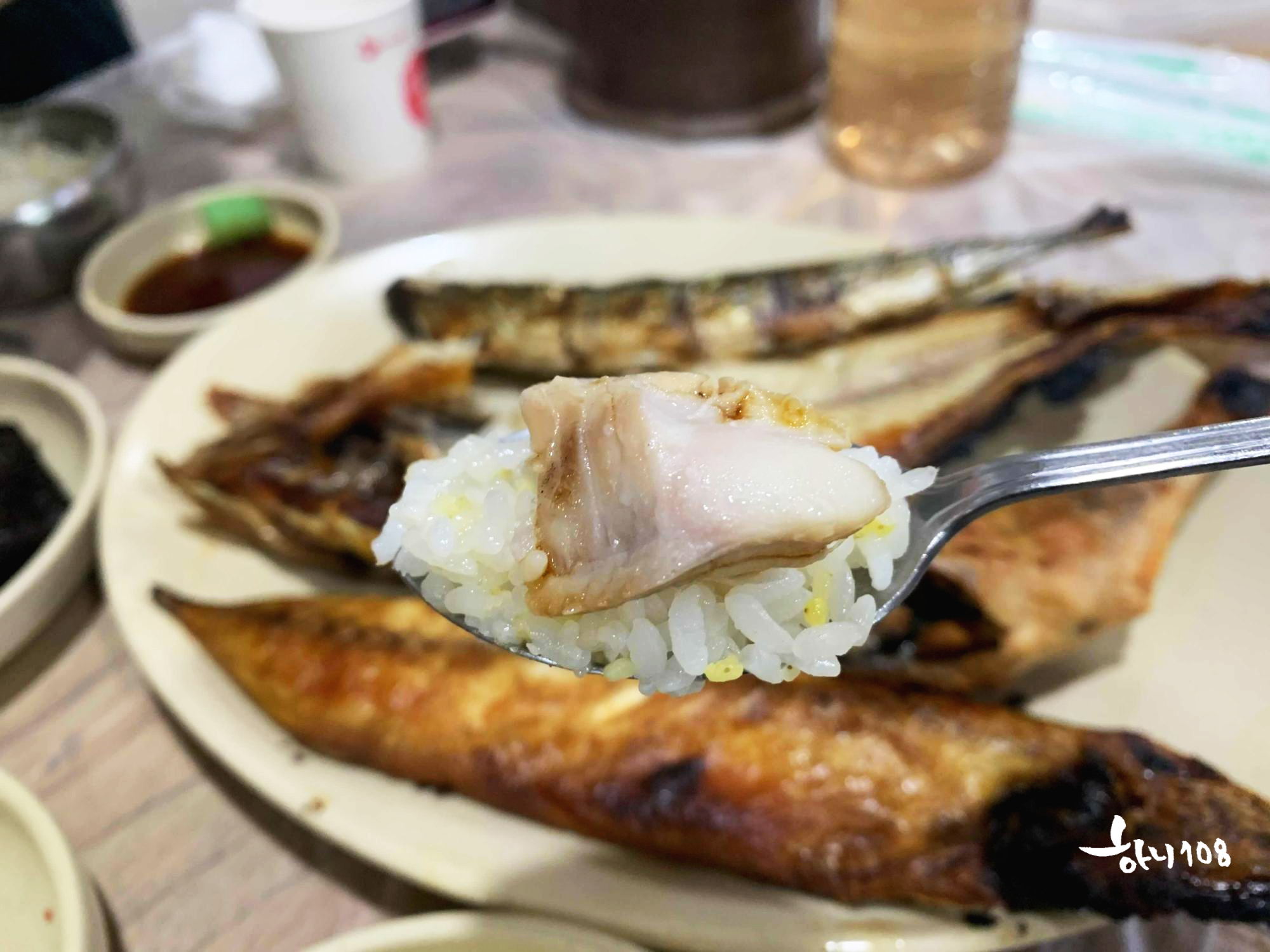 강릉 주문진 수산시장 맛집 '실비 생선구이'ㅣ아침 or 점심식사로 추천