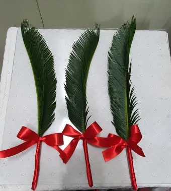 천주교 주님 수난 성지 주일_18