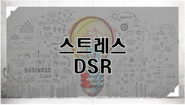 스트레스DSR