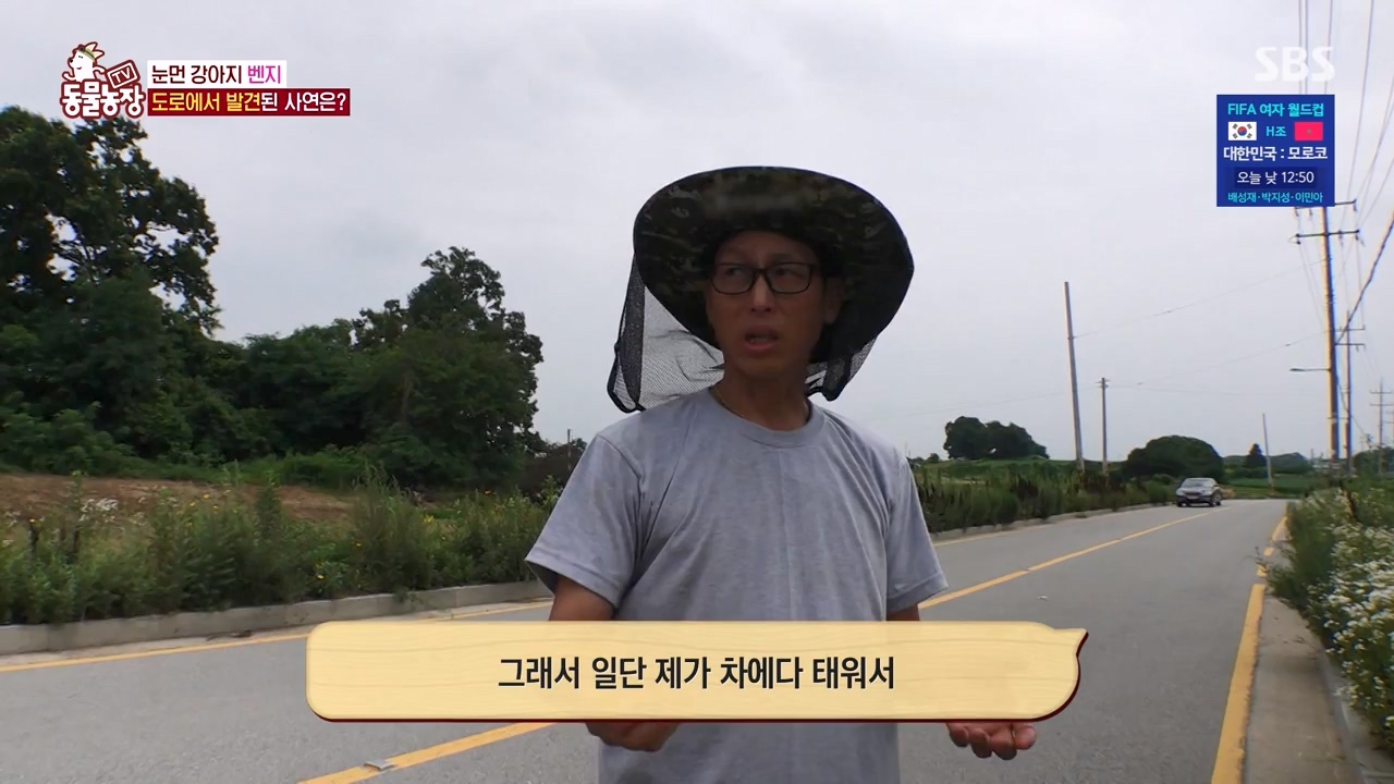 TV 동물농장.E1131.230731p-NEXT.mp4_20230730_190947.579.jpg