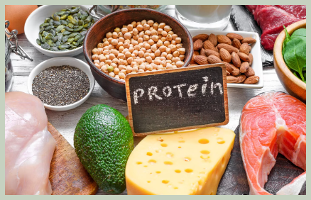 단백질 과다 섭취 원인