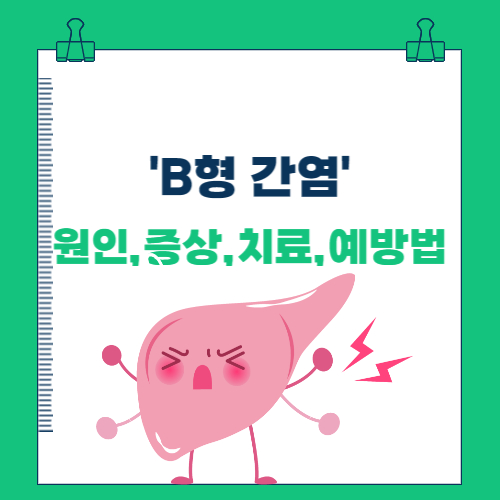  B형 간염의 원인, 증상, 치료 및 예방법