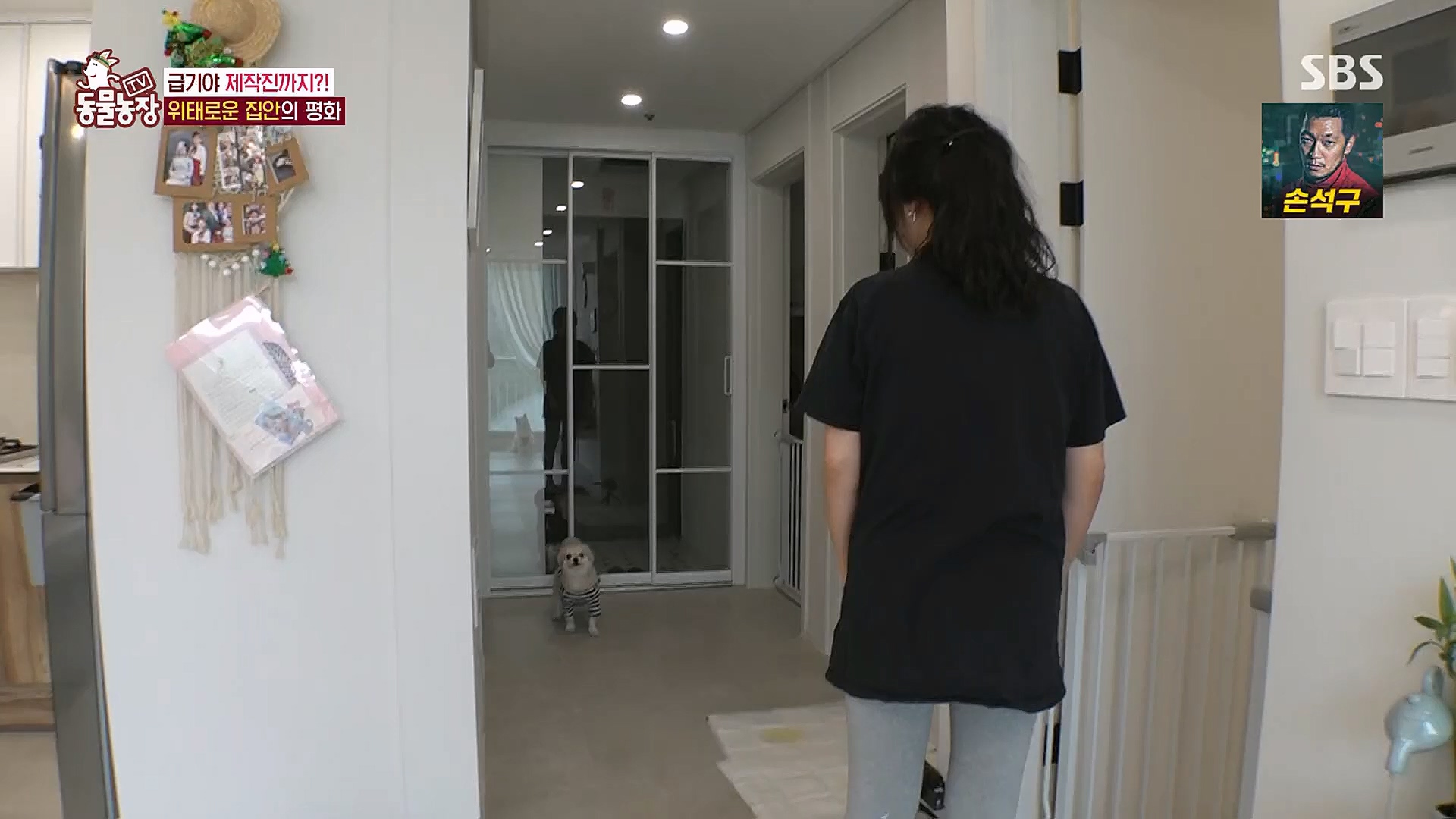 TV 동물농장.E1104.230115p.H264-F1RST.mp4_20230115_173159.074.jpg