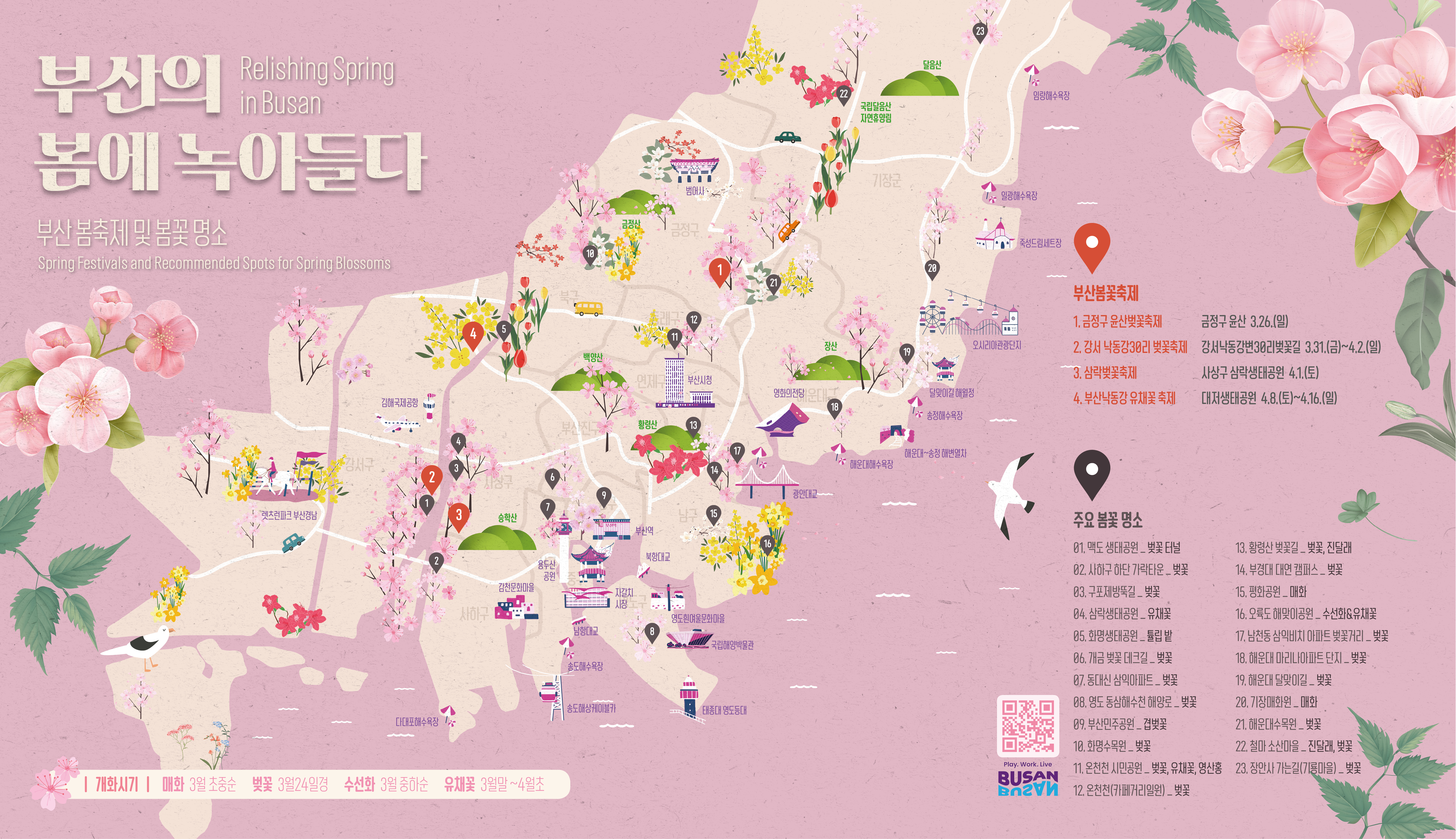 부산 봄꽃 지도