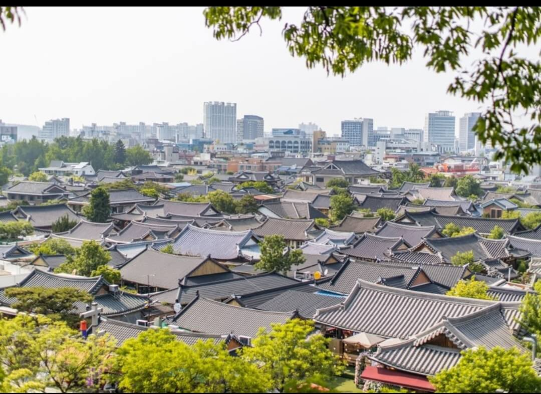 전주 애견동반 카페 식당