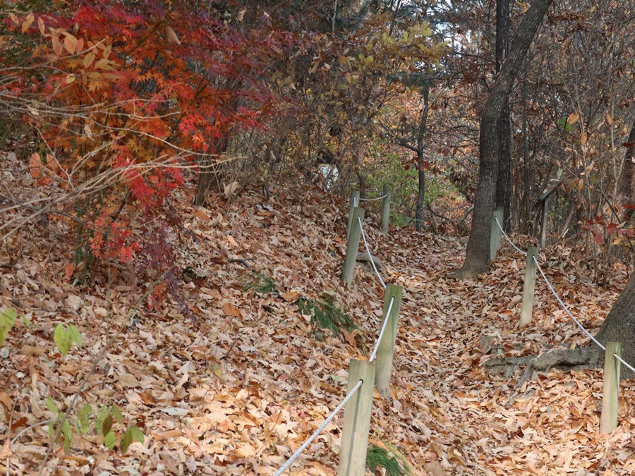 산책로에-부는-바람으로-낙엽이-쌓이고있다.