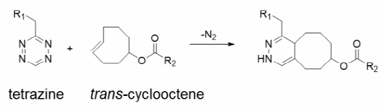 cycloaddition with tetrazine and trans-cyclooctene