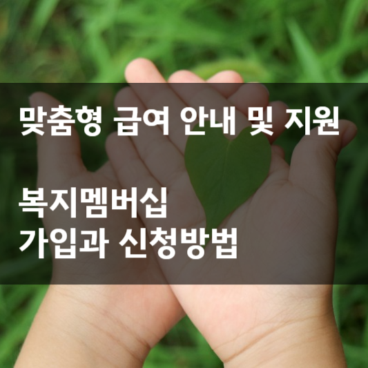  맞춤형 급여 안내 및 지원, 복지멤버십 가입과 신청 방법