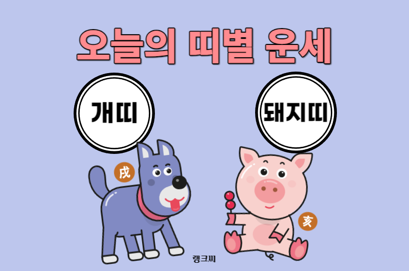 오늘의 운세_개띠운세 돼지띠운세