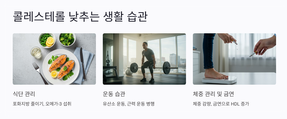 자연적인 콜레스테롤 관리법