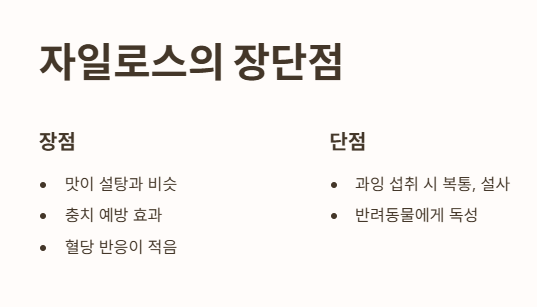자일로스의 장단점